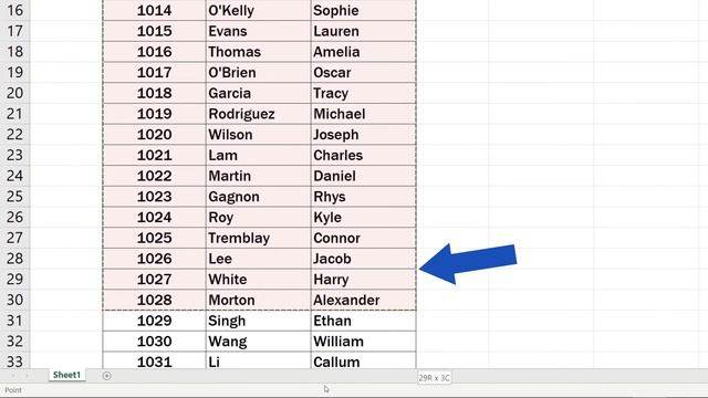 How to Use the VLOOKUP Function in Excel (Step by Step)