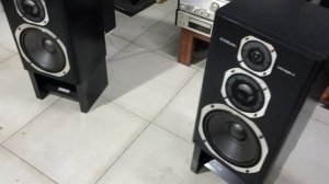 Колонки Coral dx-seven II