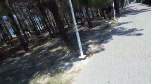 МАКСИМАЛКА НА ВЕЛОСИПЕДЕ | 50 КМ/Ч