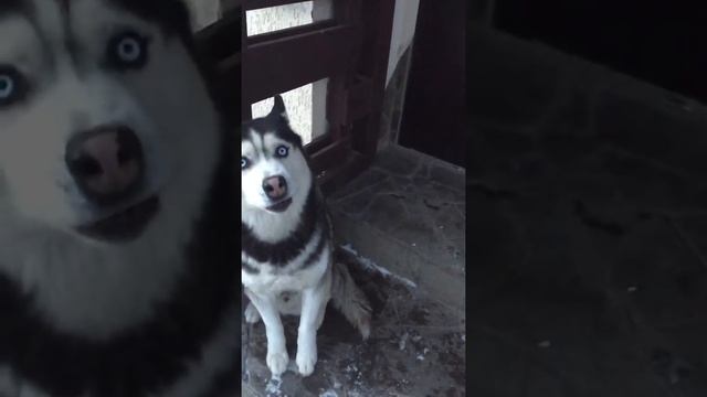 Эль пасо смотреть онлайн