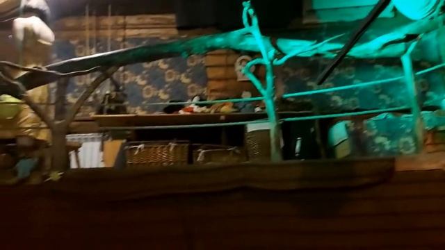 Томск. Театр кукол Захарова смотреть онлайн