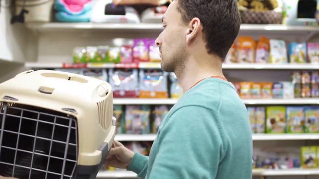 Take your cats on a vacation смотреть онлайн