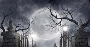 Прогулка с Евгением ЧеширКо.