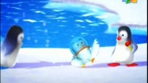 страна ози 16