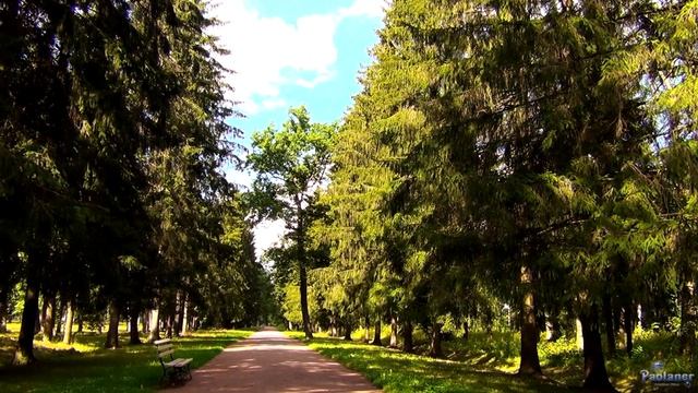 Царское Село. Александровский парк (2022) смотреть онлайн