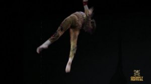 Circus Fly Festival