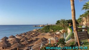 ШАРМ-ЭЛЬ-ШЭЙХ. САМЫЙ КРАСИВЫЙ ОТЕЛЬ PARK REGENCY. ОБЗОР ТЕРРИТОРИИ
