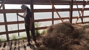 ЗАГОТОВКА СЕНА. ЧТО  МОЖЕТ ЖЕНЩИНА? НА МОТОБЛОКЕ НЕВА.