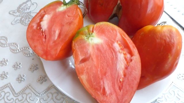 Древнее сердце Акве Терме, Болгарское чудо смотреть онлайн