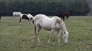 Пережив инсульт и предательство, молодой парень потерял всякую веру, пока ему не встретился он