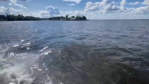 Моторная лодка «Прогресс 2M» и ПЛМ «Yamaha F25» четырехтактный