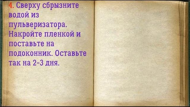 ? Микрозелень В Домашних Условиях Без Земли / ? Книга Рецептов / Bon Appetit