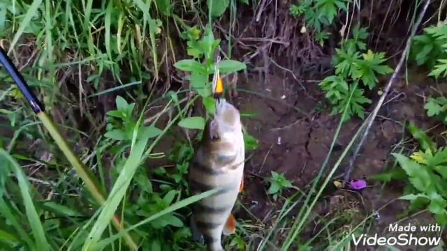 Моя рыбалка.... НО ЧТО-ТО пошло не так. смотреть онлайн