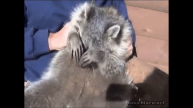 Улыбнись Жизни, и она обязательно улыбнется тебе в ответ