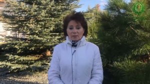 Описание и Обрезка Роз  Английские  Джульетта, Грехам Томас, Леди оф Шалот, Шарлотта