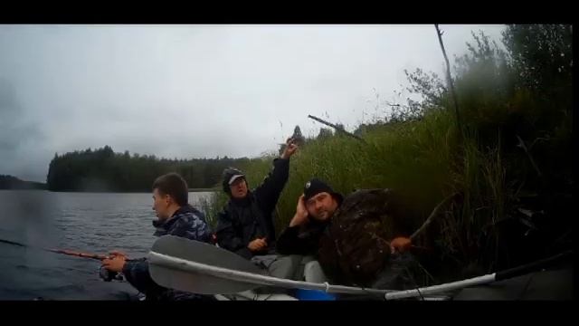 тайга смотреть онлайн