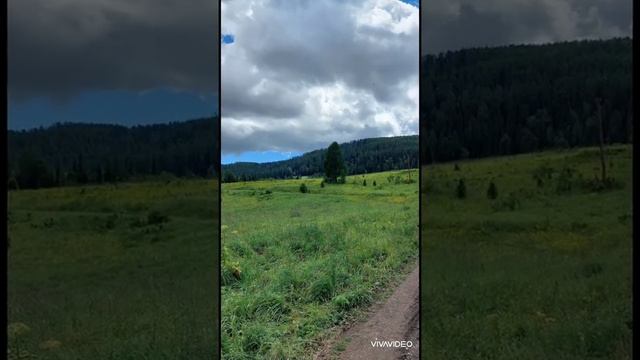 Старо-австрийская дорога. От Урунхайки до Катон-Карагая смотреть онлайн