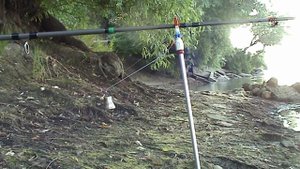 реке Кубань. Донка с латунным колокольчиком. Fishing angeln la pesca câu cá 钓鱼 рыбалка