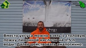 4 СПОСОБА УДОБРИТЬ ЗЕМЛЮ СКОРЛУПОЙ ЯИЦ. ТОЛЬКО ТАК - ПРАВИЛЬНО!