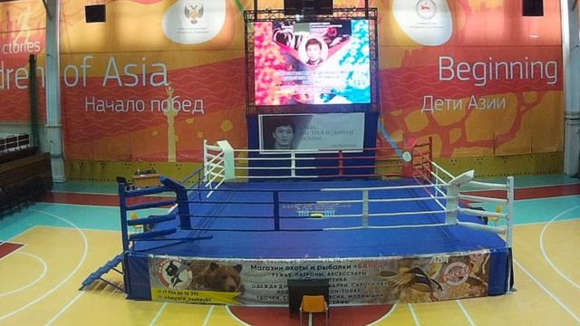 Чемпионат и первенство Дальневосточного Федерального Округа по кикбоксингу в разделе К1 смотреть онлайн