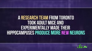 Почему мы не помним детство?