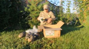 Открытие посылки "Unboxing" Чучела Greenhead Gear Pro-Grade Serie Mallard Active Pack