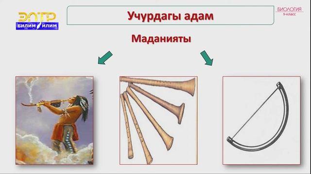 9-класс | Биология | Адамдын пайда болушу жана биосферага тийгизген таасири смотреть онлайн