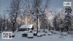 #Кашковский В. Г. #Холодная_зимовка пчел.