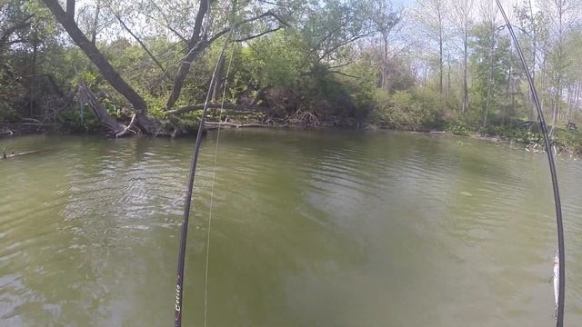 My #1☝Go To Bait For Limiting Out On BIG Panfish: Berkeley Gulp Alive Fish Fry смотреть онлайн