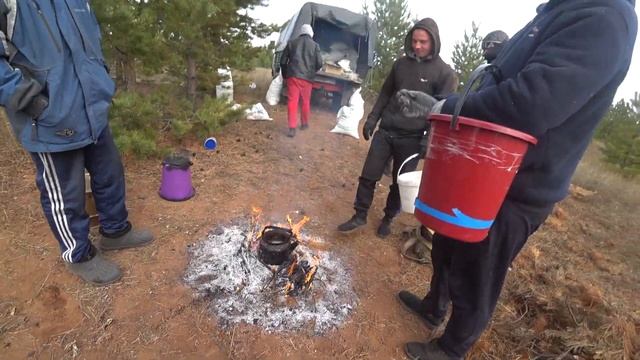 СБОР СОСНОВОЙ ШИШКИ. Информация о пропавшем... смотреть онлайн