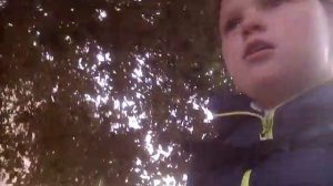 Моя школа номер 19