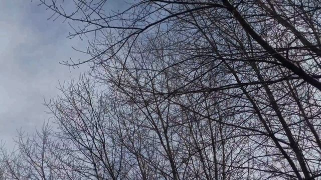6 мая народный праздник День Георгия Победоносца.Юрьев день. Народные приметы и традиции.Запреты дн