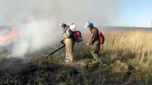 Пожары в Журавлиной родине.