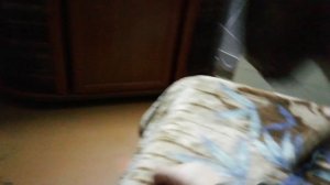 тренировка по правилам ММА