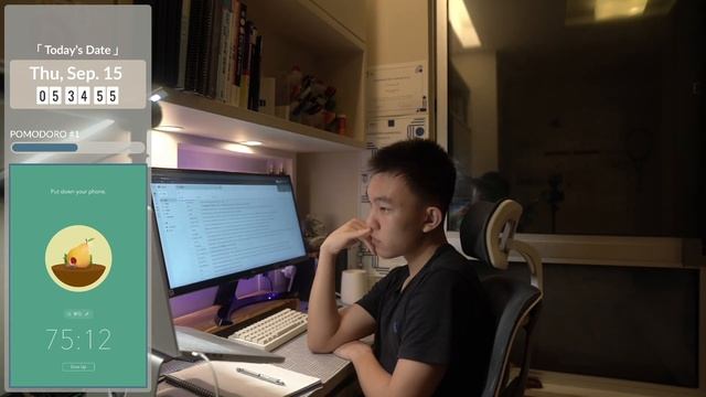 Study With Me Live 4 Hours | 60/10 Pomodoro смотреть онлайн