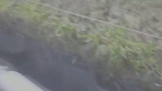 Укладка дренажной системы смотреть онлайн