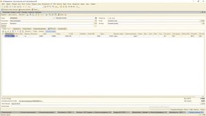 Учет БСО (бланков строгой отчетности) для 1С: Бухгалтерия 8 редакции 1.6.