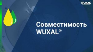 Совместимость Вуксал
