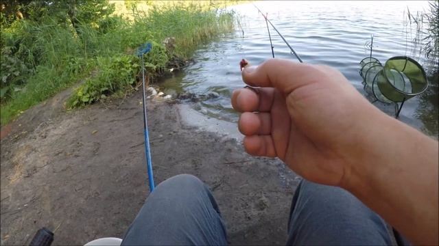 Бешеный Клёв на Утренней Зорьке/Рыбалка на Озере смотреть онлайн