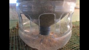 Кормушки и поилки своими руками для кур  индюков уток гусей перепелов.