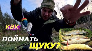 КАК ПОЙМАТЬ ЩУКУ