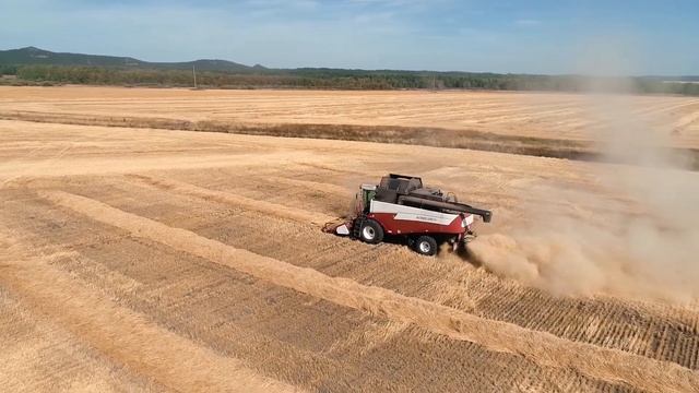 Выбор техники - дело важное! смотреть онлайн