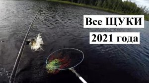 13 поклевок ЩУК на спиннинг | Щучьи броски на блесну, лучшее моменты с рыбалки за лето 21г