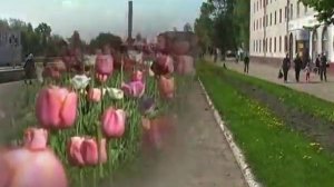 Людиново - самый лучший город на Земле