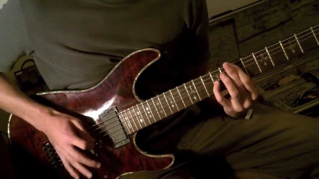 Leviathan I - Parkway Drive (guitar cover) HQ смотреть онлайн