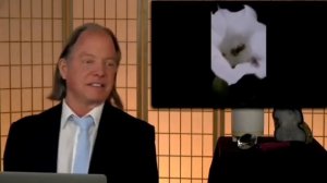 Майкл Роуч. Как сделать так, чтобы мир вам посылал больше новых людей и идей