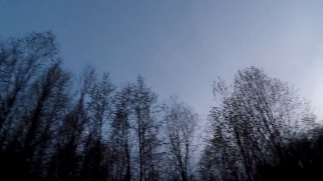 Весенний вальдшнеп. 2016 год. смотреть онлайн