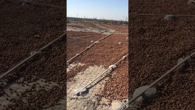 Разуклонка кровли, подготовка к заливке стяжки. Установка маяков.  Подсыпка керамзита