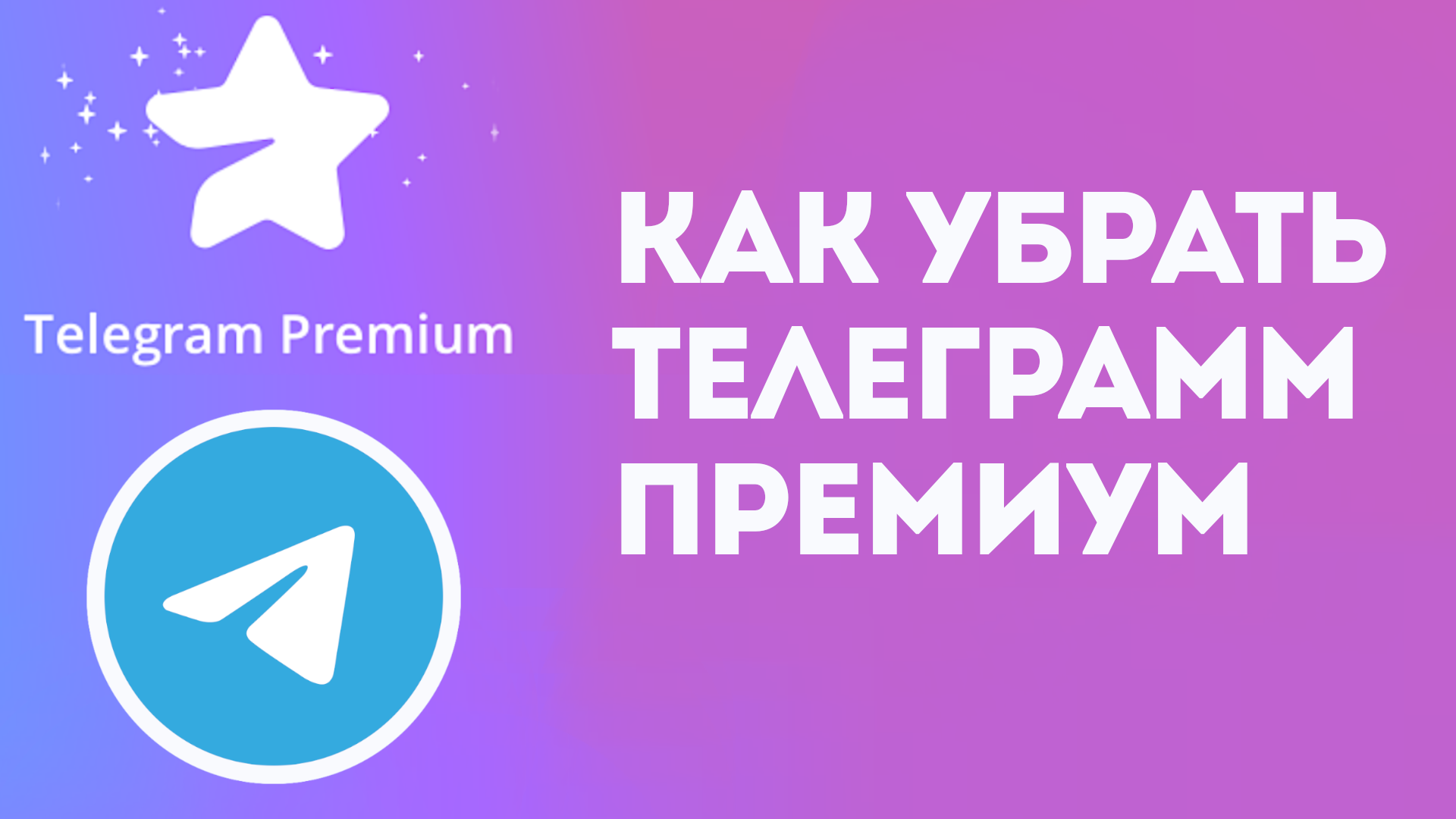 Подарок тг премиум на год. Подарок тг премиум на год