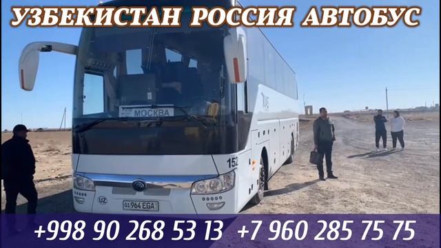 Ташкент Москва автобус такси Узбекистан Россия автобус Ташкент Краснодар автобус #автобус Ташкент